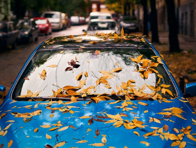 Autumn Driving Tips